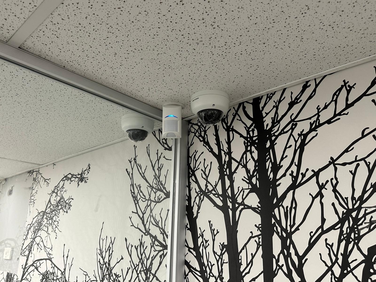 Security Camera + Services